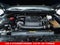2023 Nissan Frontier Crew Cab PRO-4X®